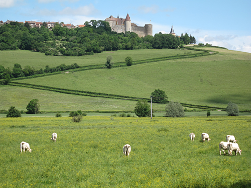 View of Chateauneuf-en-Auxois.